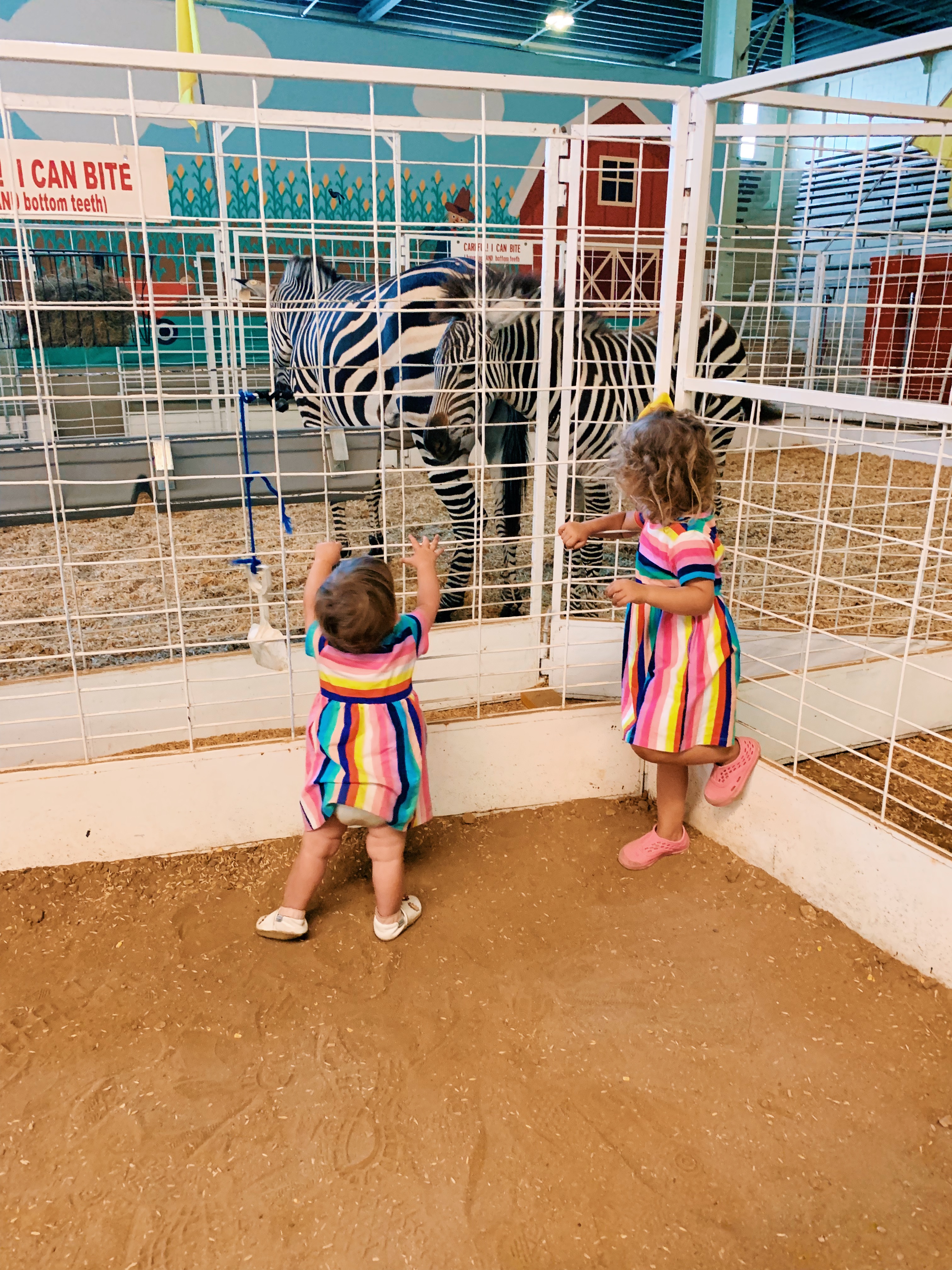 State Fair of Texas Petting Zoo