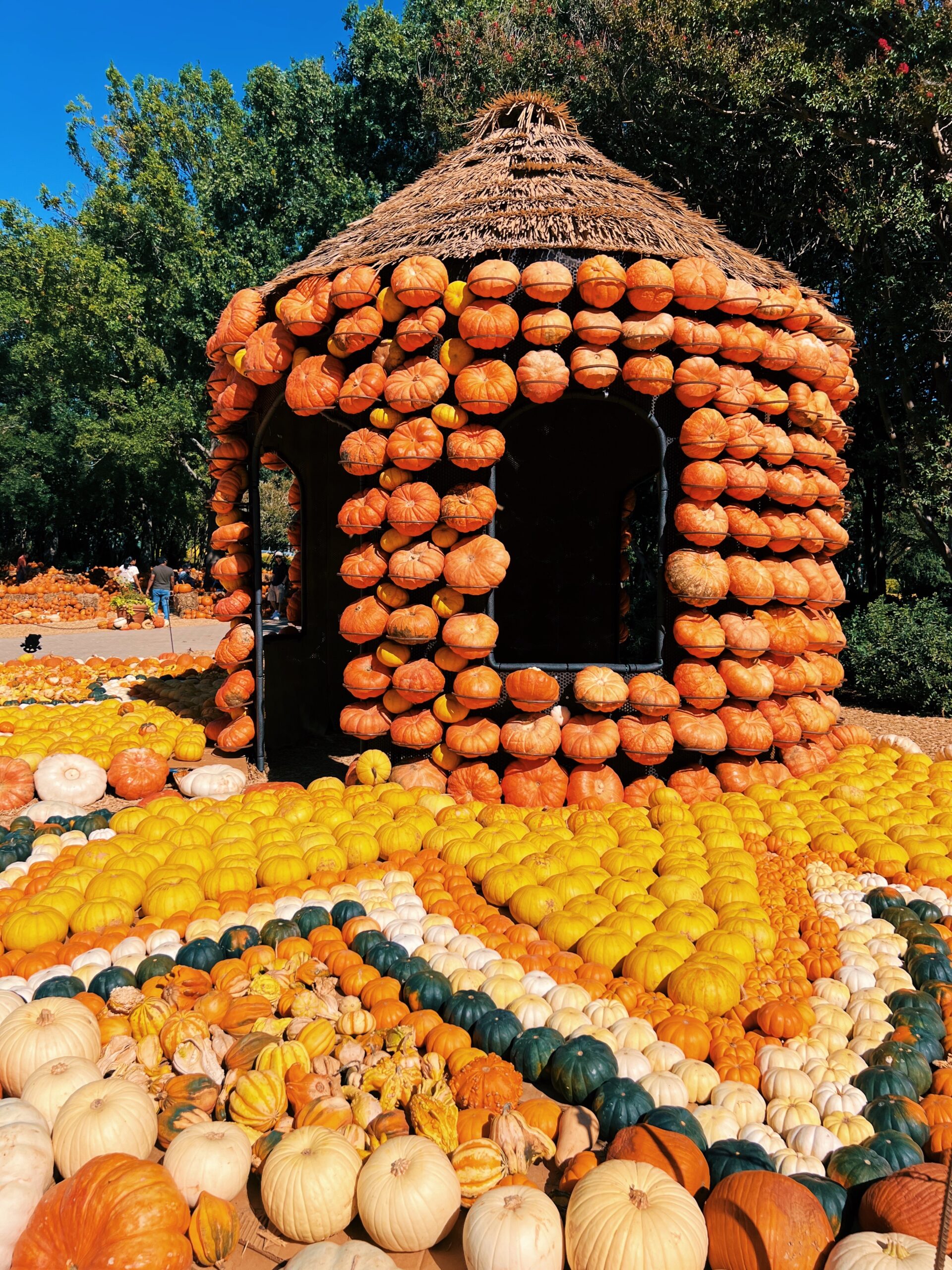 Dallas Arboretum Pumpkin Patch - Autumb at the Arboretum