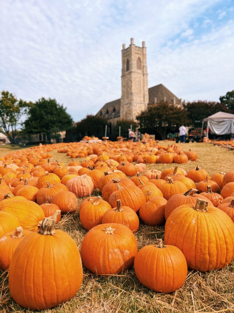 St. James Episcopal Pumpkin Patch in Dallas