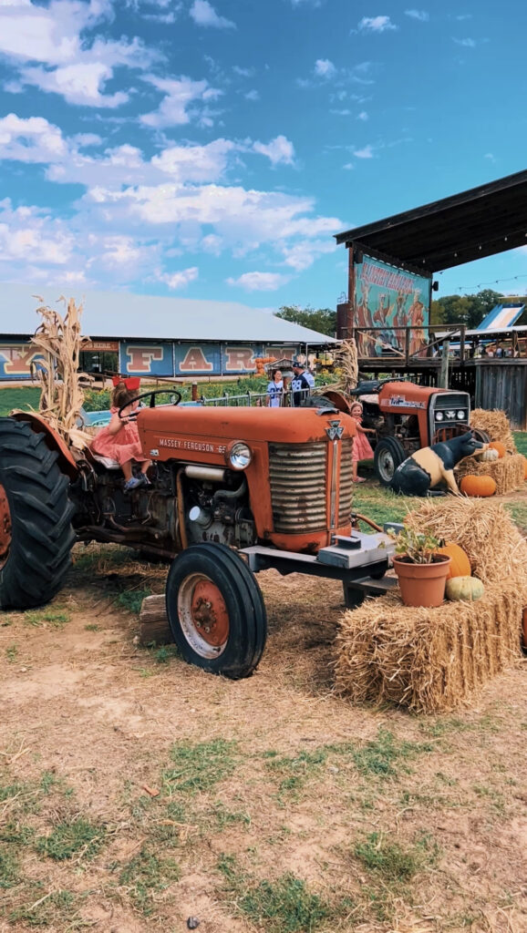 Mainstay Farm Fall Festival Pumpkin Patch