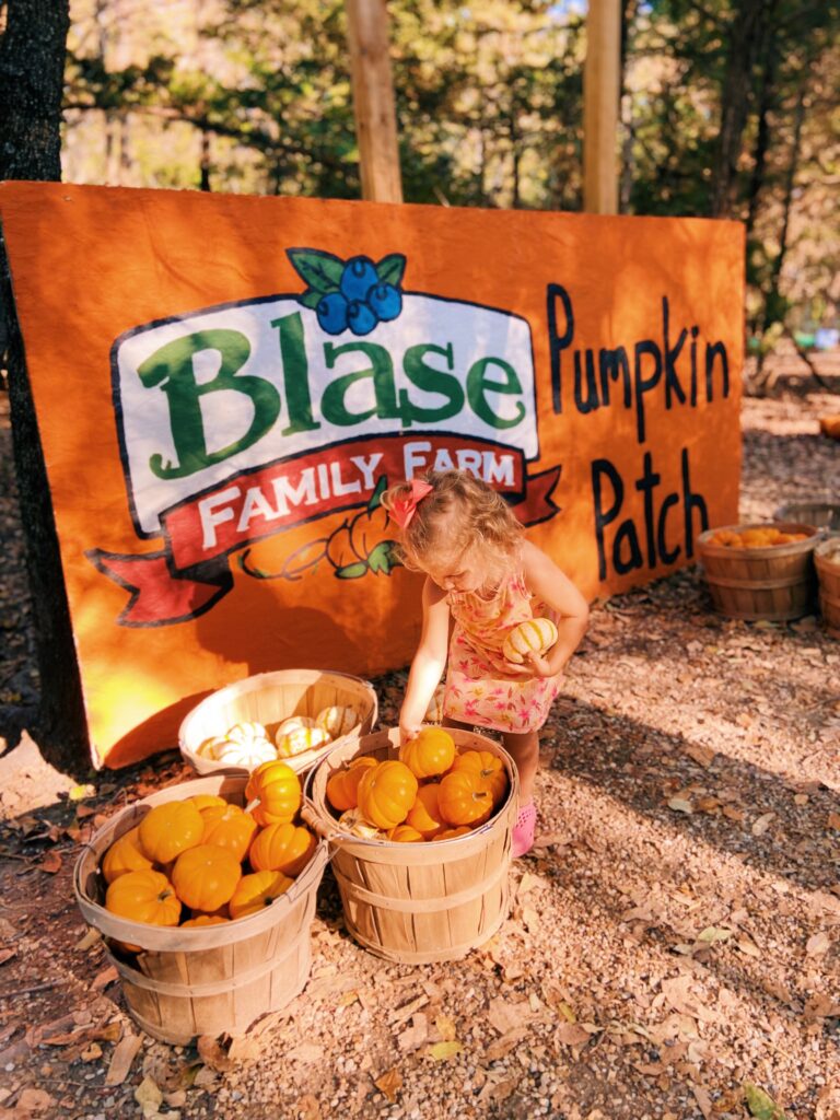 Blase Family Farm Pumpkin Patch Rockwall