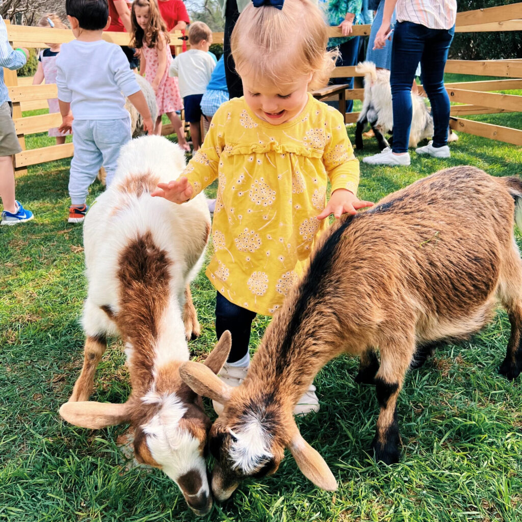 Cathy's Critters mobile petting zoo in Dallas