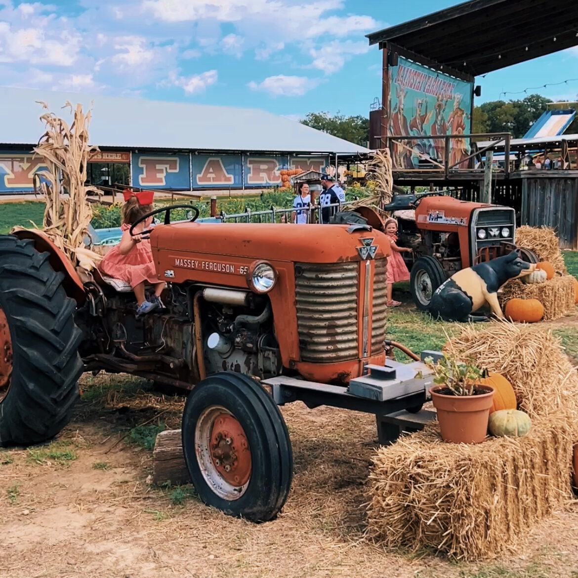 Mainstay Farm Fall Festival Pumpkin Patch