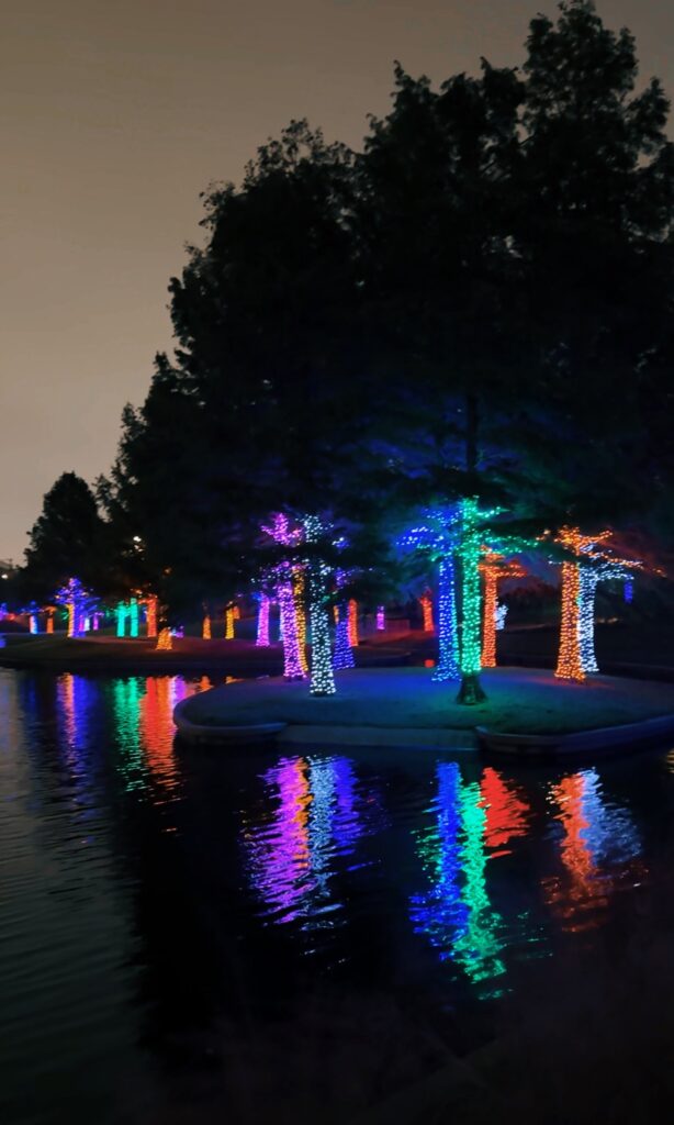 Vitruvian Christmas Lights in Addison, TX